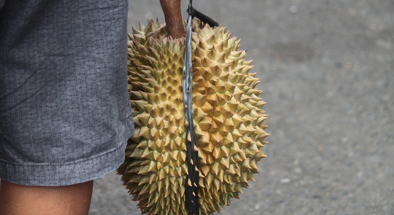 Durian Thailand