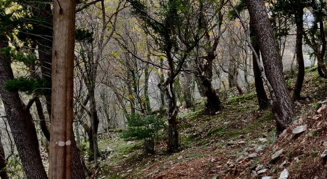Удивительная черногорская природа.