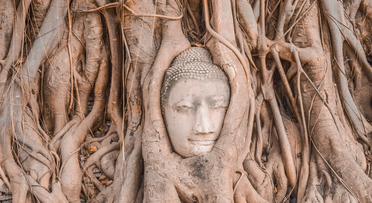 Голова Будды, оплетенная корнями деревьев, в Храме Ват Махатхат