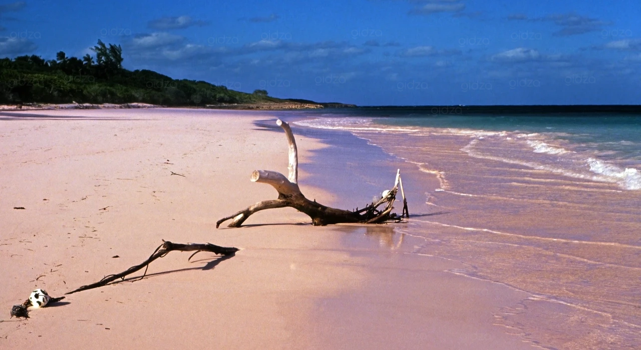 Розовый пляж на острове Харбор, Багамские острова