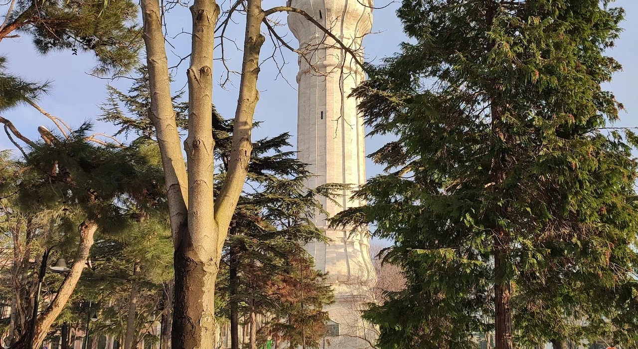 Вид на башню Беязыт с территории Стамбульского университета
