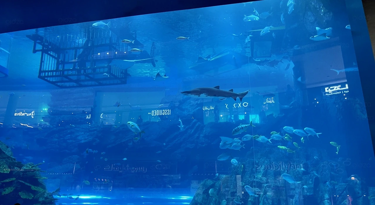 Невероятный по размерам аквариум в The Dubai Mall