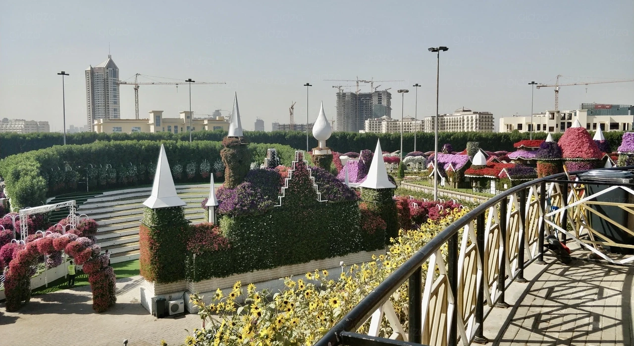 Сад цветов в Дубае